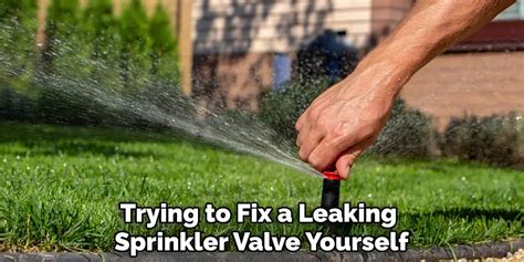 how to fix a leaking sprinkler valve|How to fix a leaking Sprinkler Valve Part 1